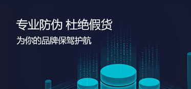 構建數(shù)字信任 全國315產(chǎn)品防偽查詢中心的計算機信息技術咨詢